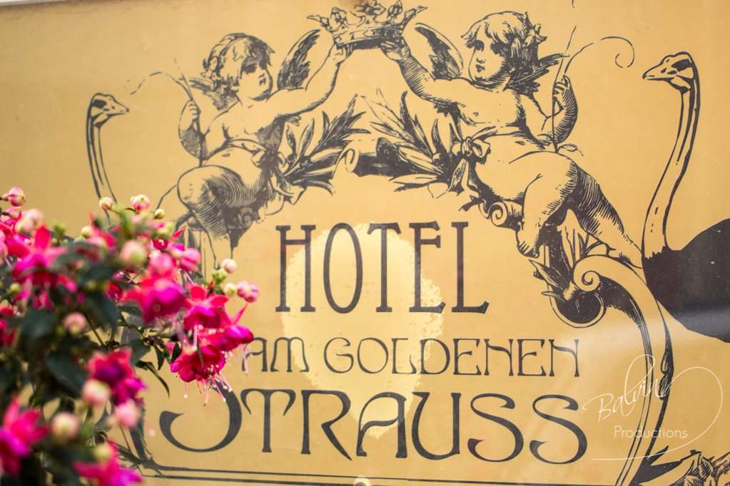 Akzent Hotel Am Goldenen Strauss Görlitz Logo fotografie